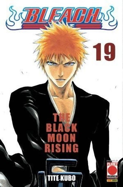 Bleach 19