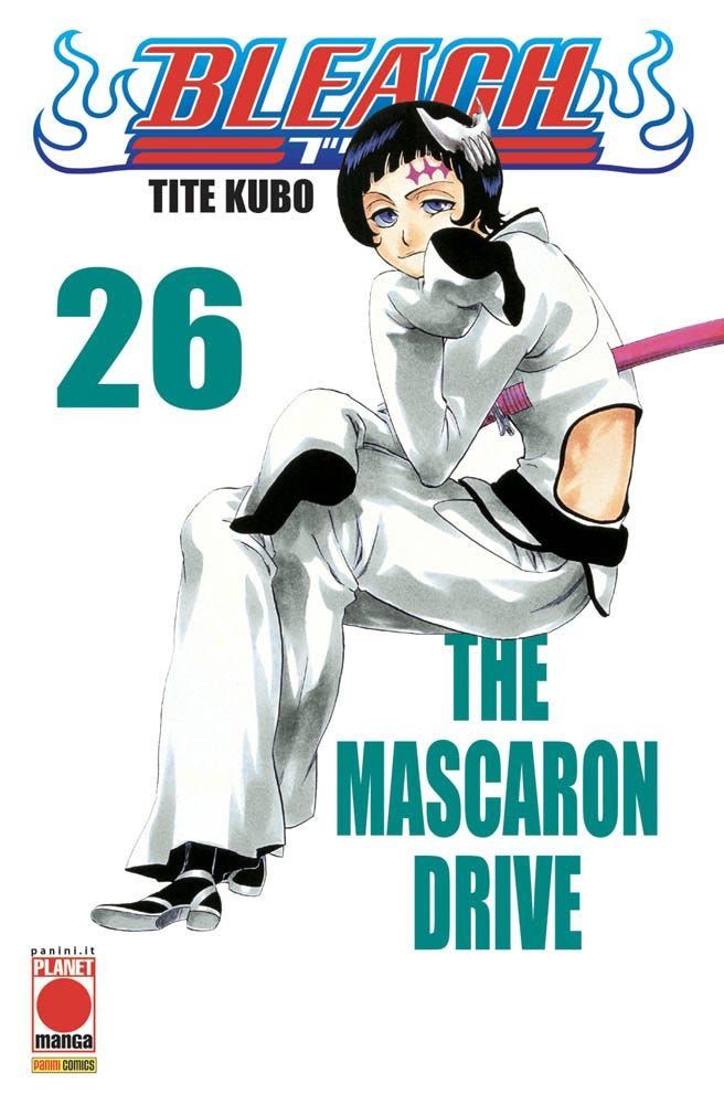 Bleach 26