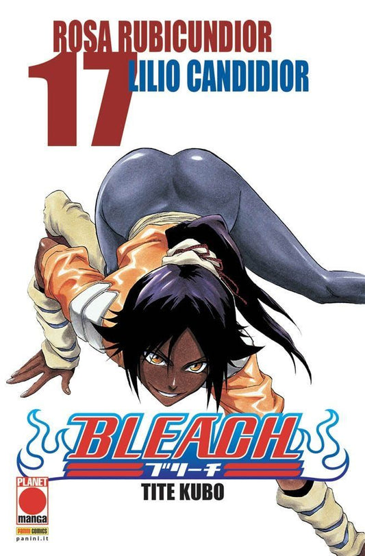 Bleach 17