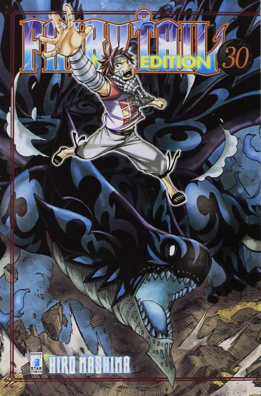 Fairy Tail New Edition 30