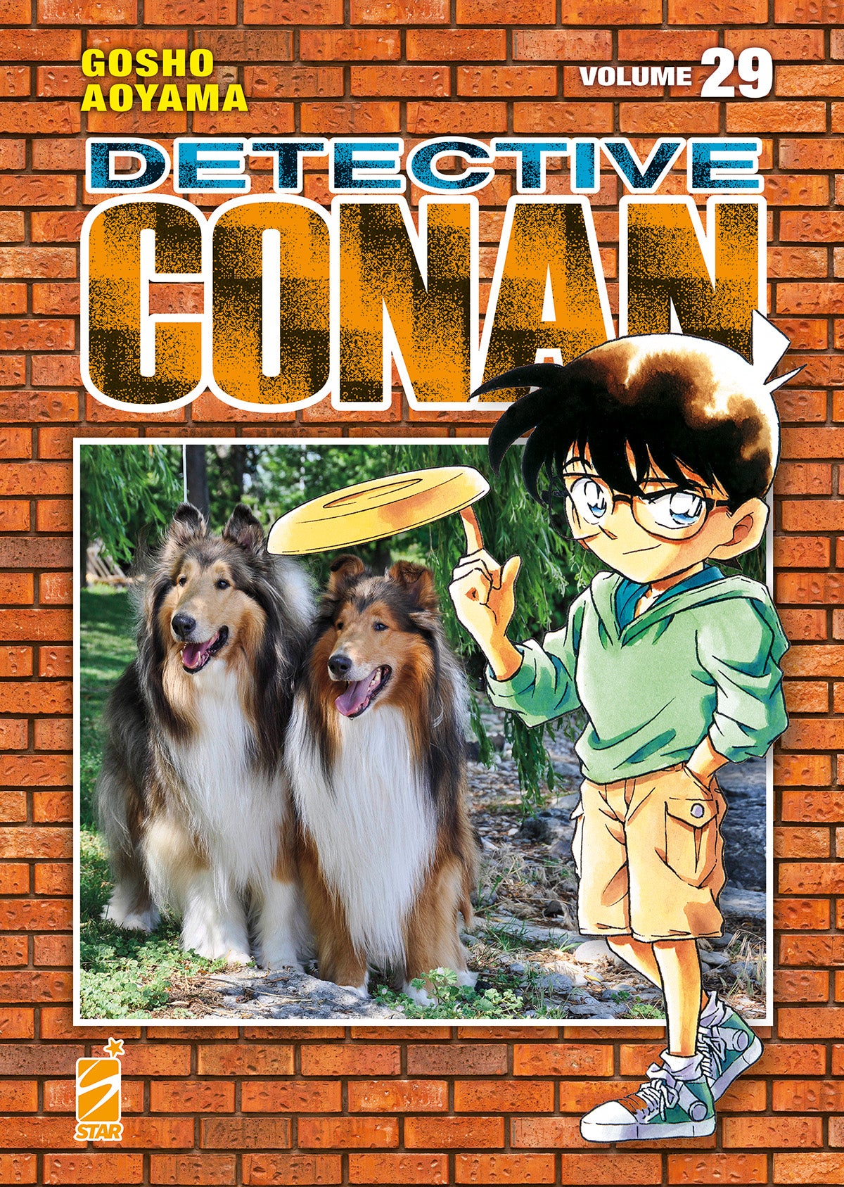 Detective Conan New Edition 29