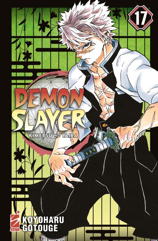 Demon Slayer 17